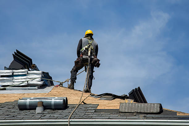 Professional Storm Damage Roof Repair technician working in Warrington, FL
